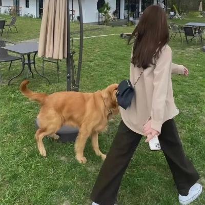 美妙天堂第三季
